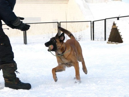 SEVIL Roháčske plesá